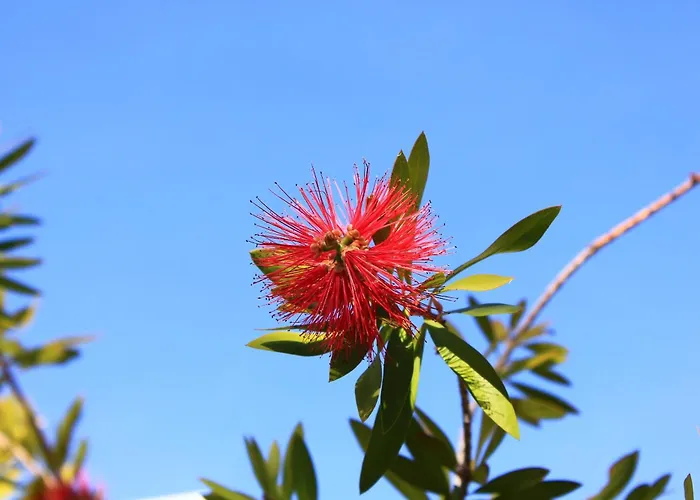 Dom wakacyjny Seaside House With A Swimming Pool Cove Ljubljeva, Trogir - 9431 Marina